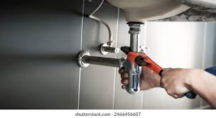 Best Plumbing System Maintenance  in Albion, NE